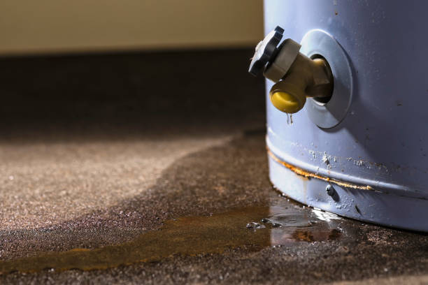 Best Water damage contractors near me  in Five Forks, SC
