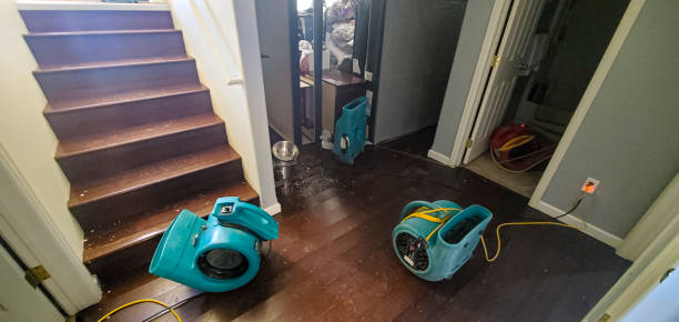 Best Water damage restoration specialists  in Five Forks, SC