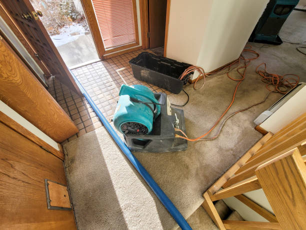 Best Ceiling water damage repair  in Five Forks, SC