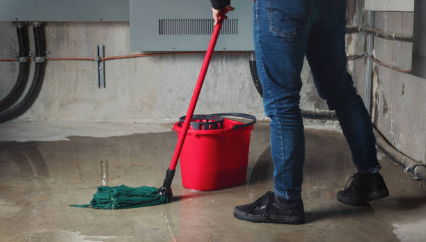 Best Ceiling water damage repair  in Five Forks, SC