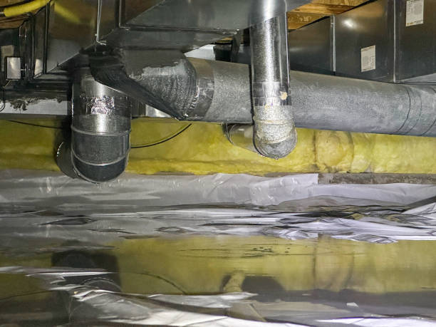 Best Fire Damage Restoration  in Five Forks, SC